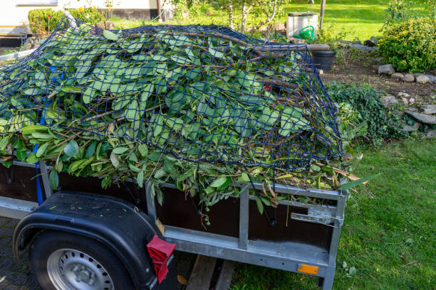 Best Recycling Services for Junk  in New Albany, MS